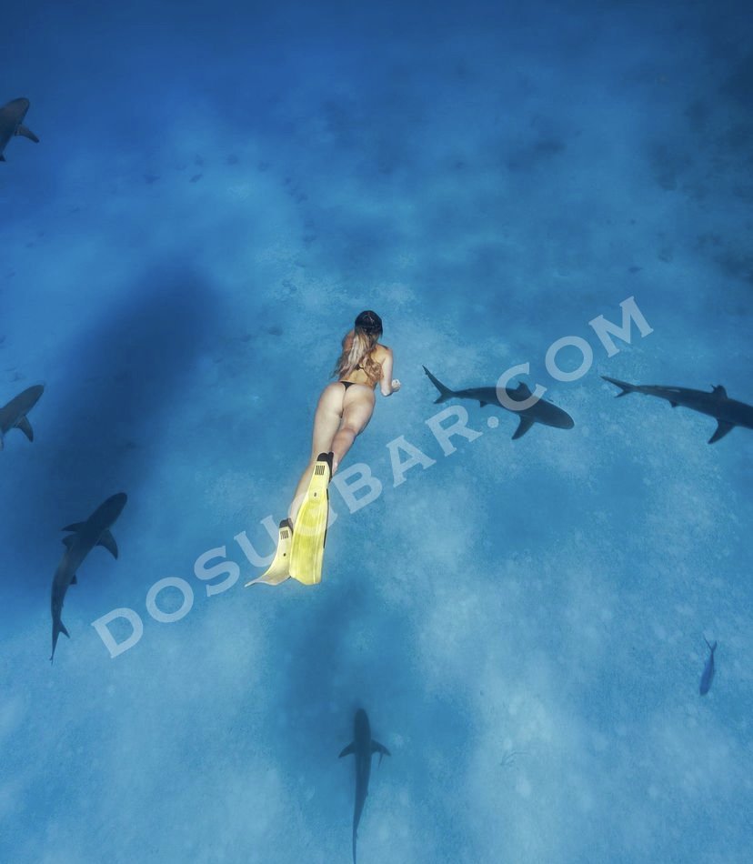 ВероНика 16.000р., 32